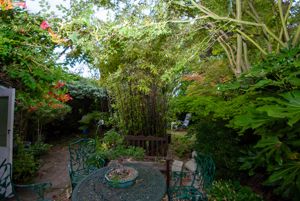 Photo 6- click for photo gallery